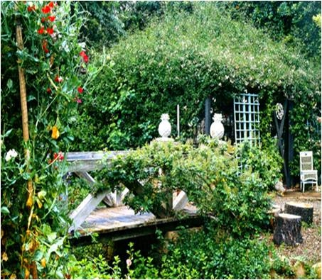 庭院景观设计|小庭院设计|小庭院景观设计|别墅花园设计|上海别墅花园|别墅庭院设计